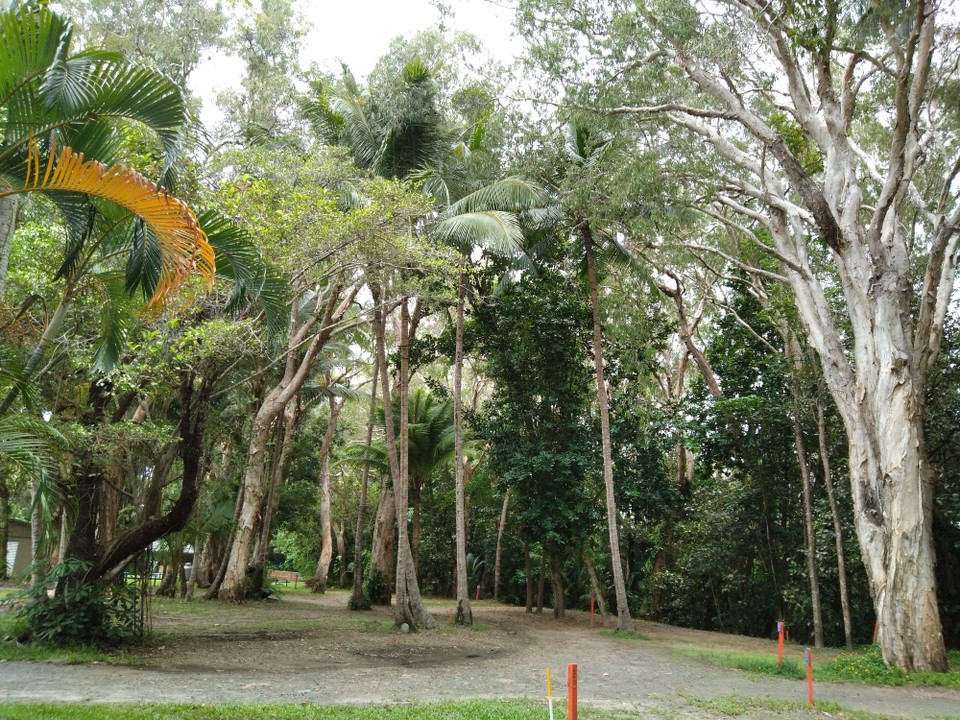 Australien - Port Douglas - Campingplatz Port Douglas