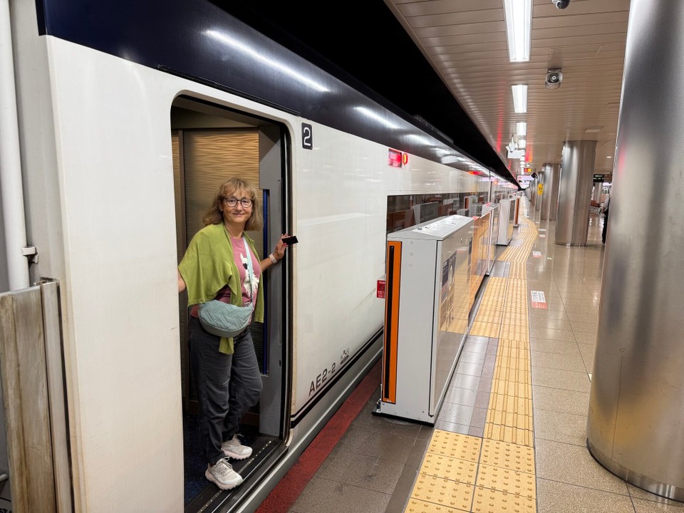 Japan - Chiyoda - Nicht ganz der Shikansen, aber dennoch pünktlich.