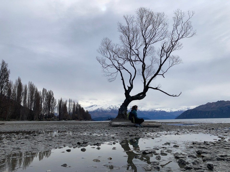 Neuseeland - Wanaka Ward - 