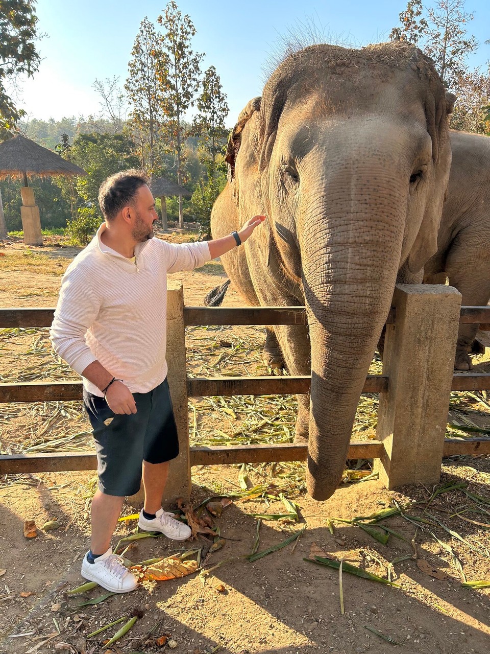 Thailand - Chiang Mai - 