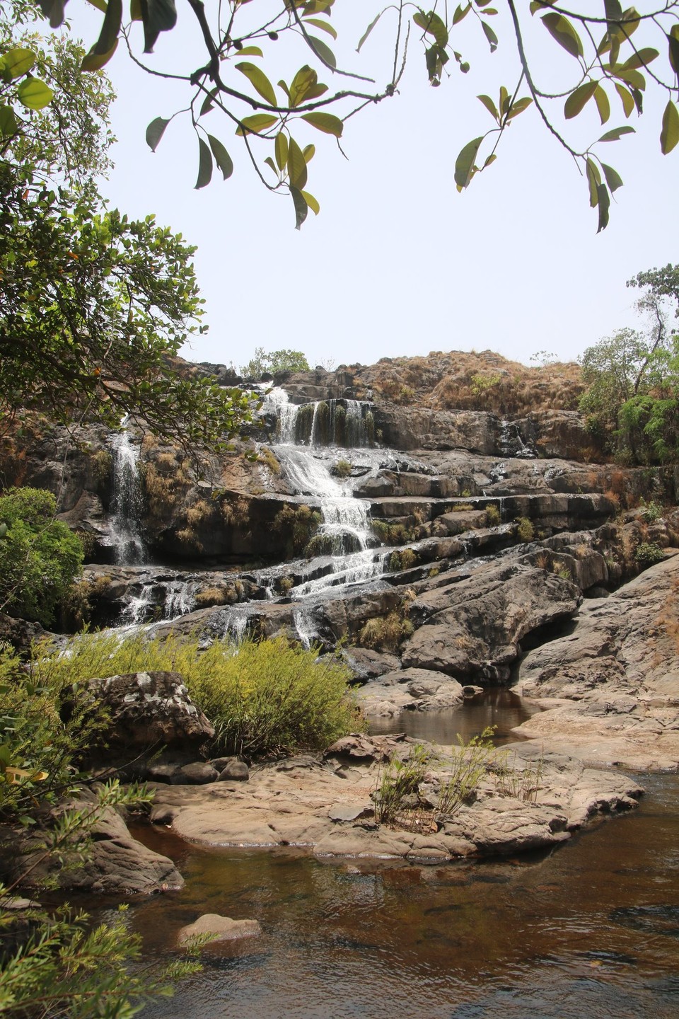 Guinea - Douki - Tour Tag 2