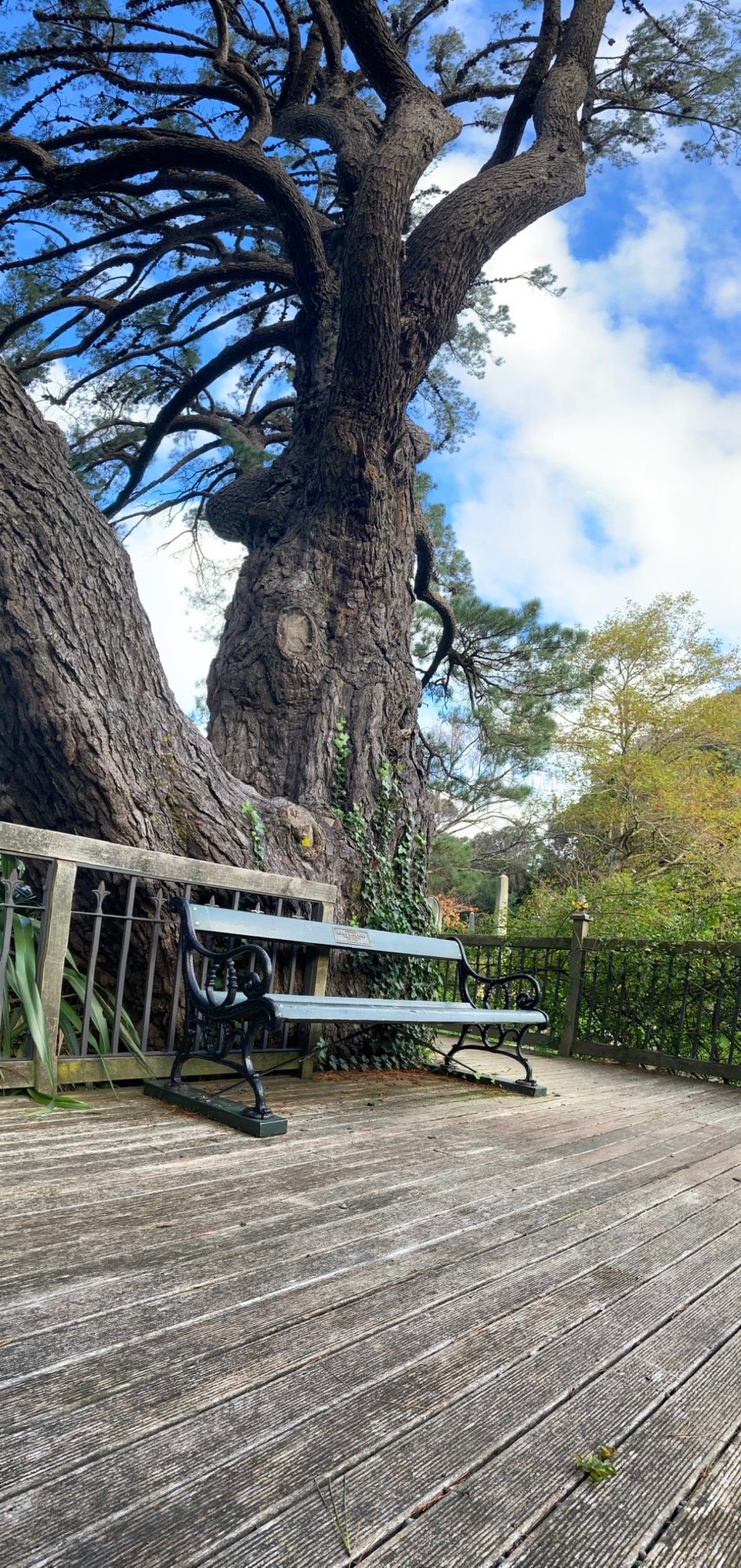 Neuseeland - Wellington - 