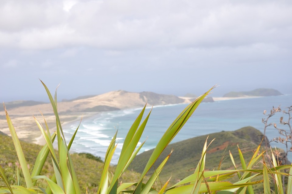 Neuseeland - Mangonui - 
