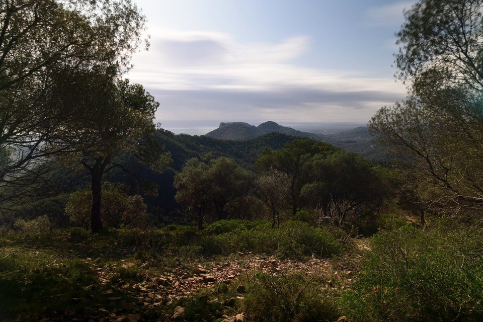 Spanien - Felanitx - 