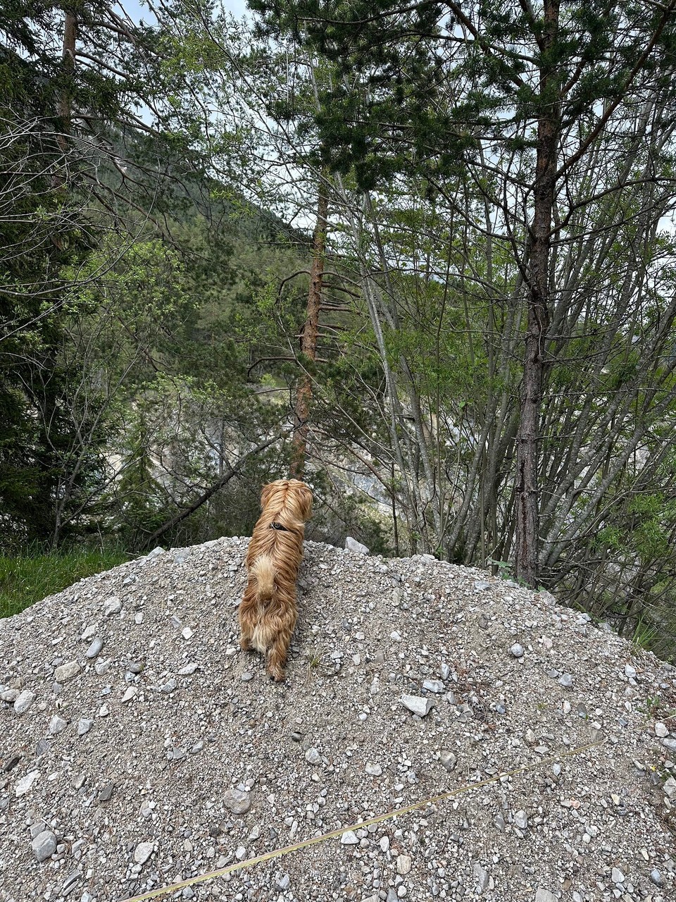 Österreich - Scharnitz - 