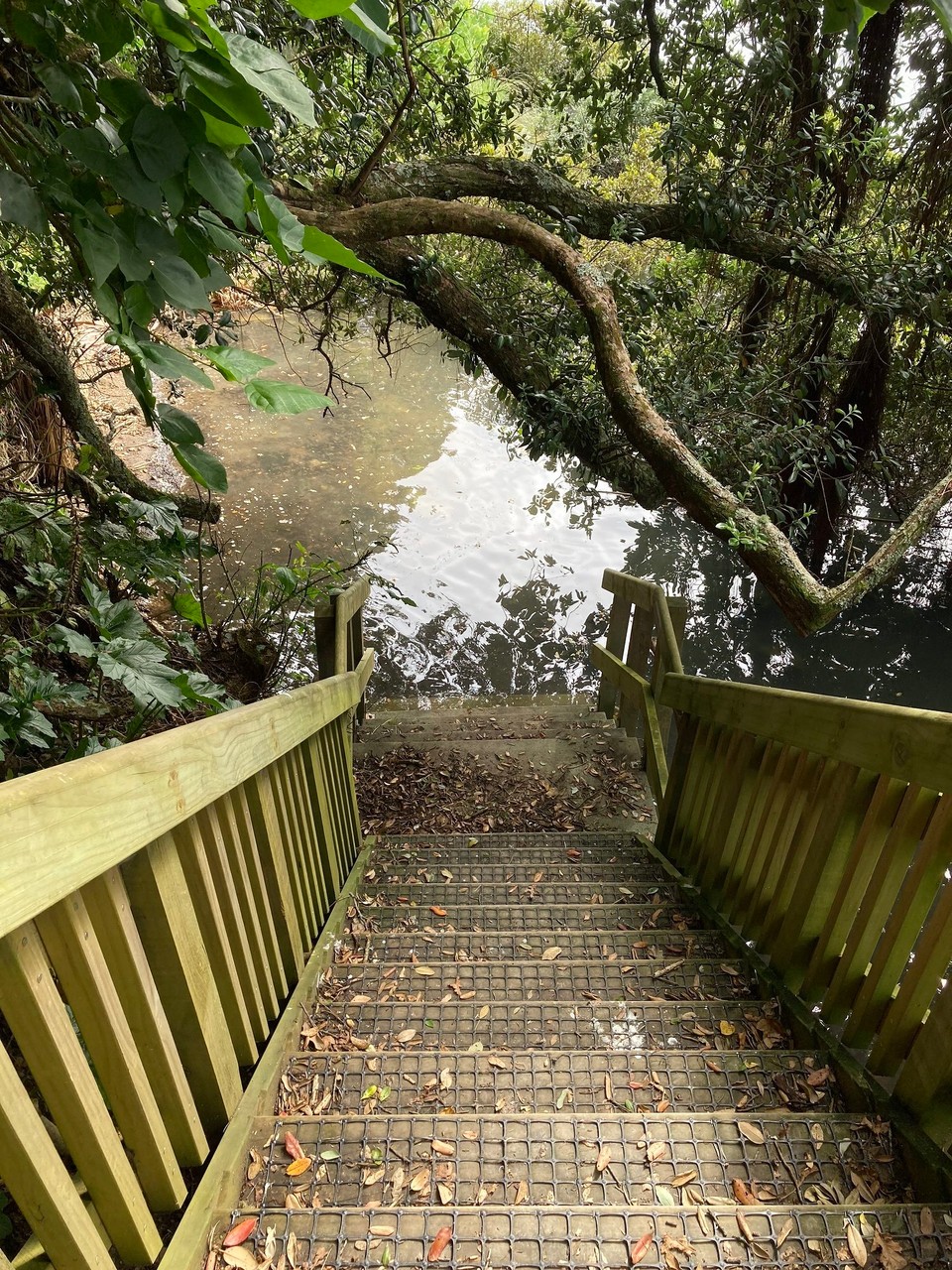 Neuseeland - Auckland - Die Treppe ins Wasser, wenn die Flut kommt ist der Weg weg 😕