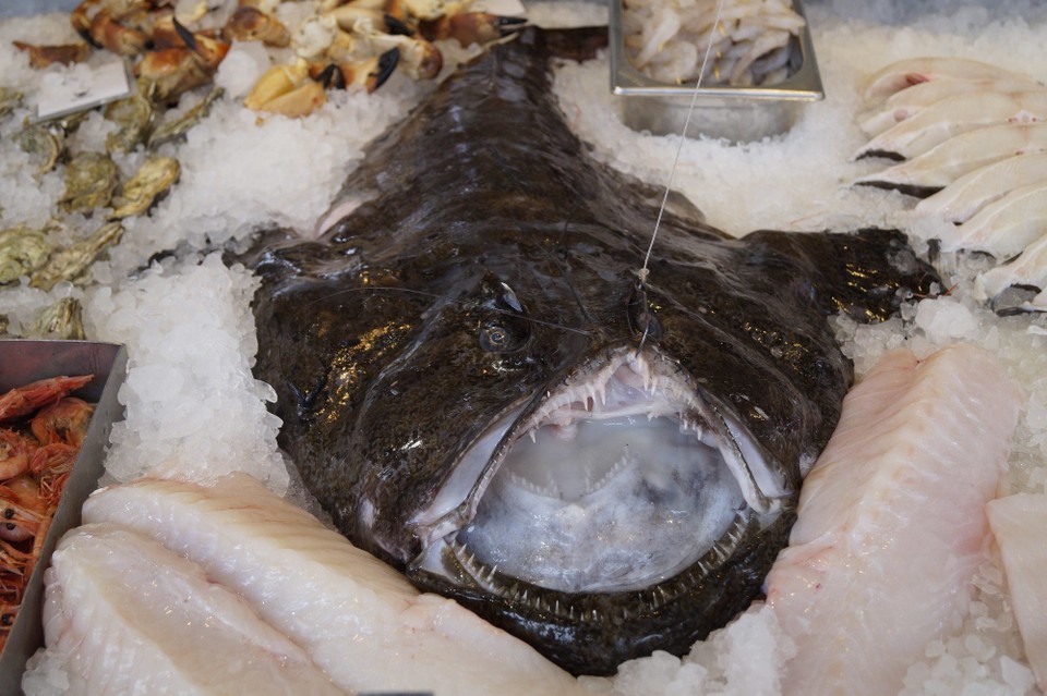 Norwegen - Bergen - auf dem Fischmarkt trifft man frisches... 