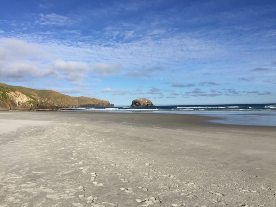 Neuseeland - Dunedin - 