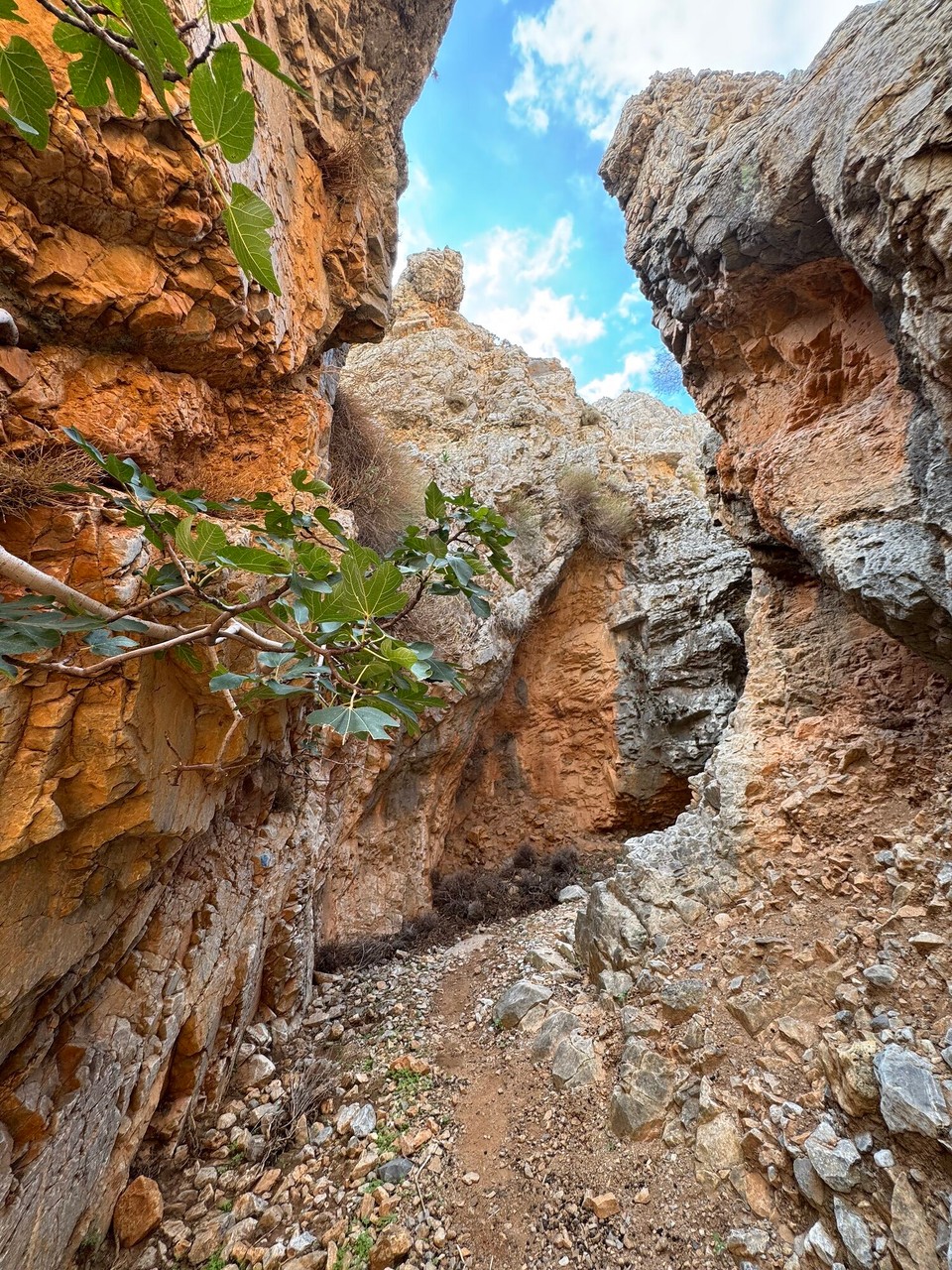Griechenland - Chora Sfakion - 