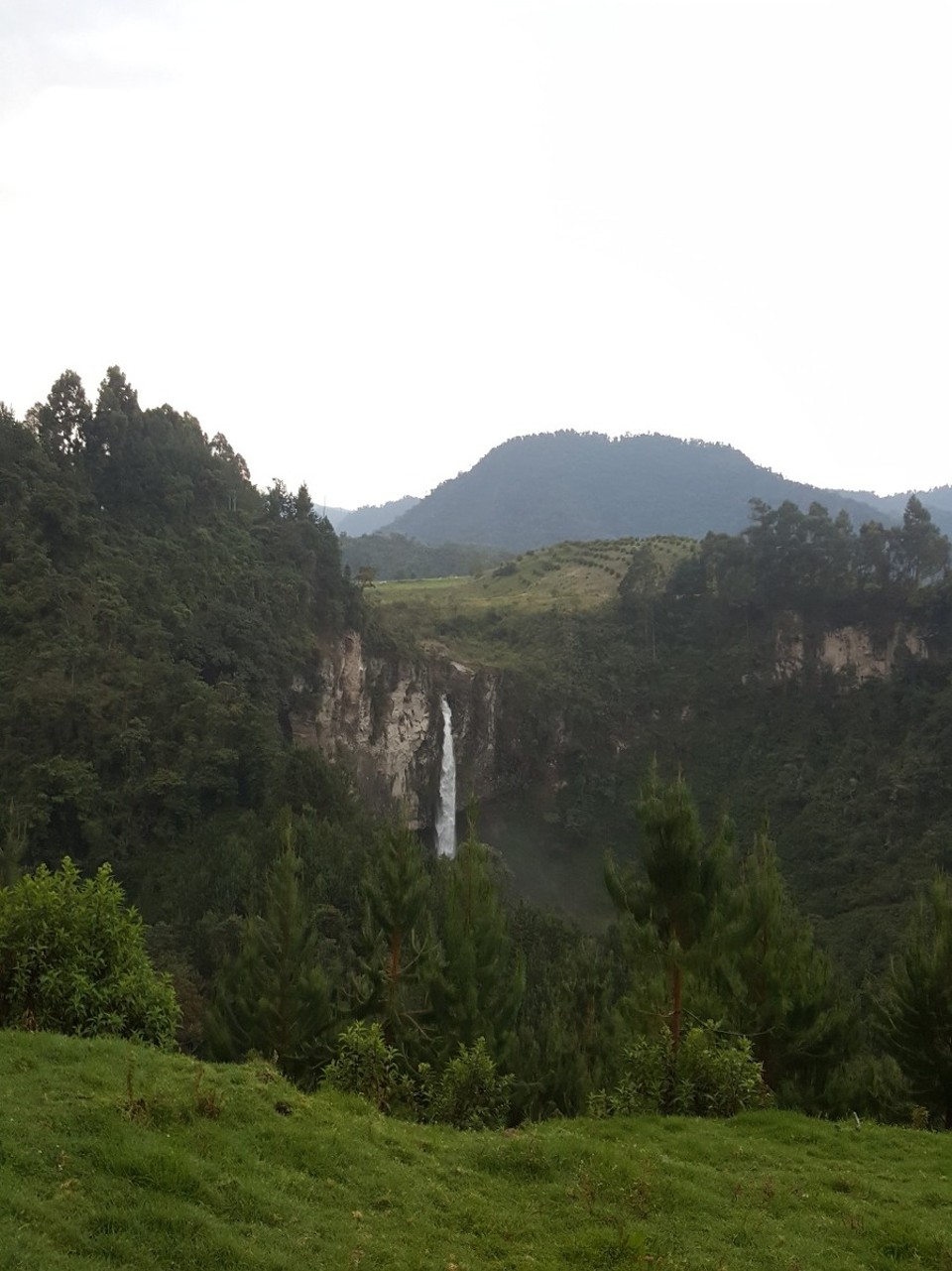 Kolumbien - Manizales - Manizales liegt ca. 2500 m hoch. Nach 3 h Fahrt bergauf inkl. einem super Frühstück in den Bergen kommen wir am Ausgangspunkt an. Höhe hier ca. 3500 m. Jetzt beginnt das Wandern.