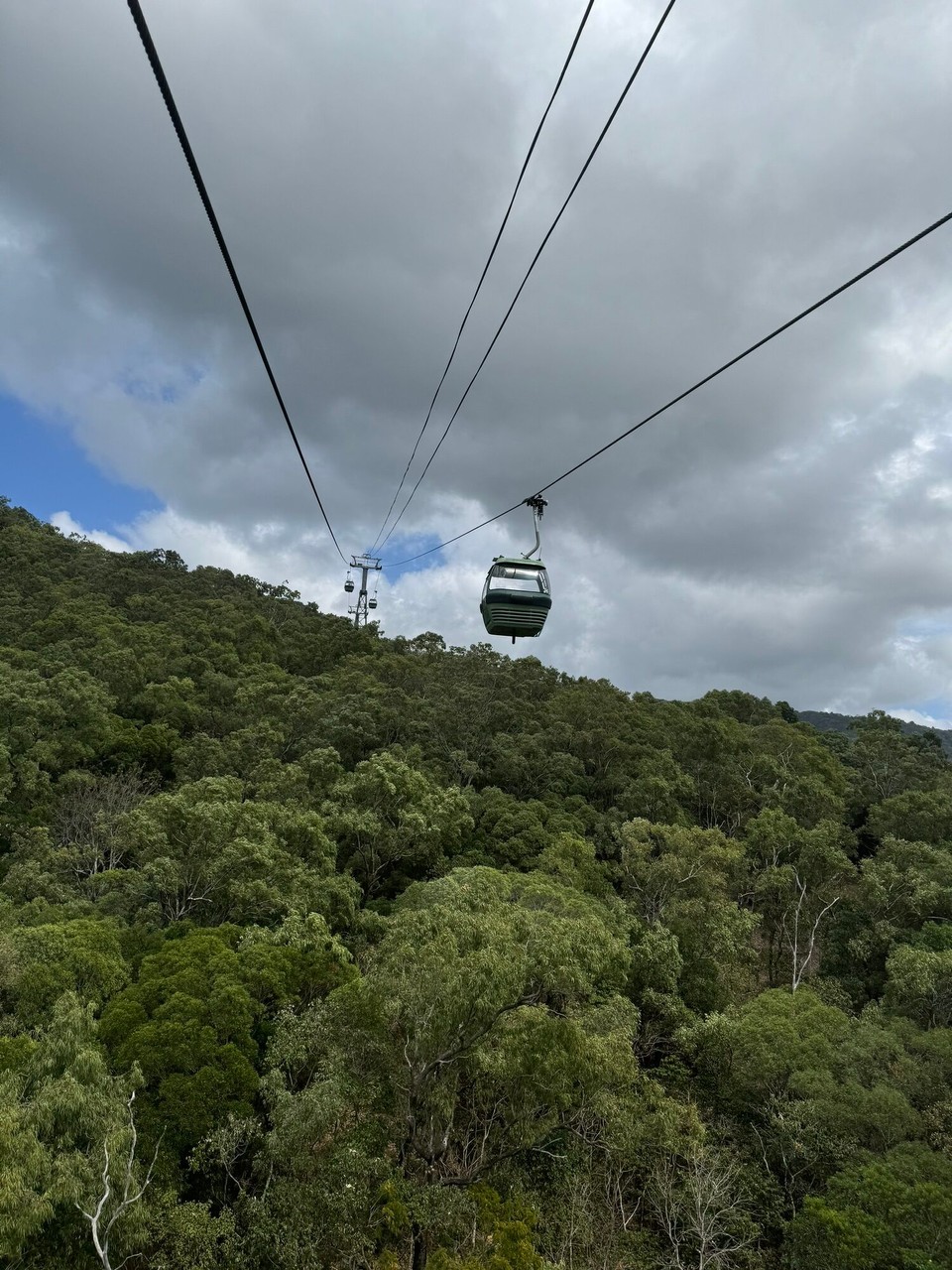 Australien - Kuranda - 