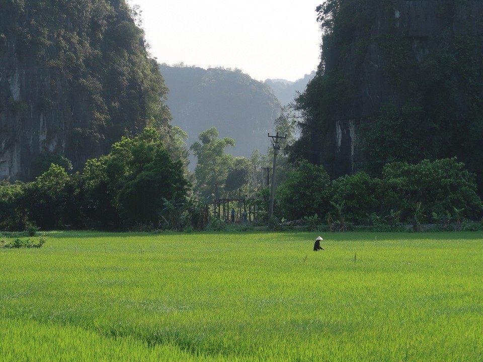 Vietnam - Ninh Bình - 