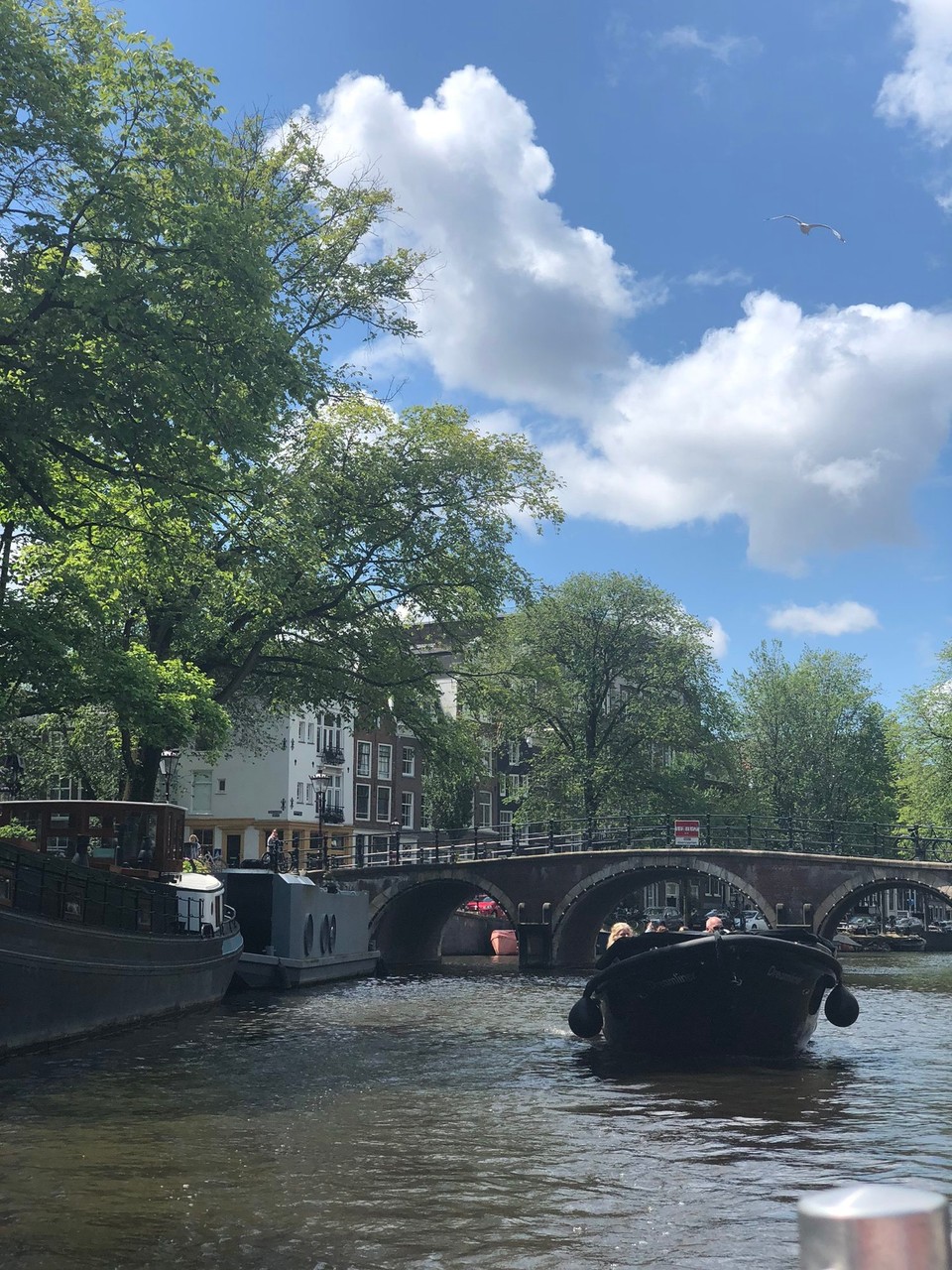Netherlands - Amsterdam - The boattrip in the canals for sightseeing🥰