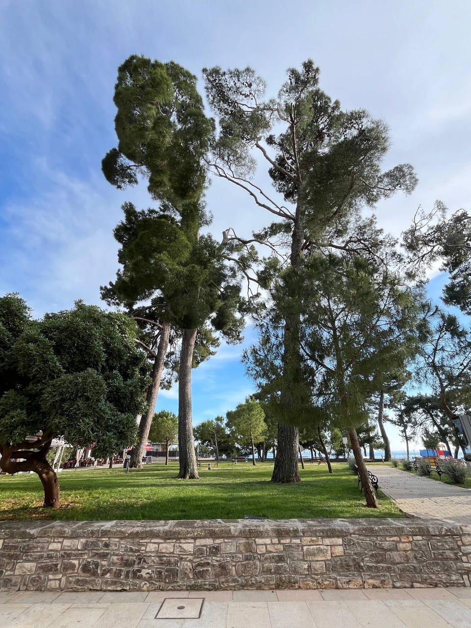 Kroatien - Novigrad - 