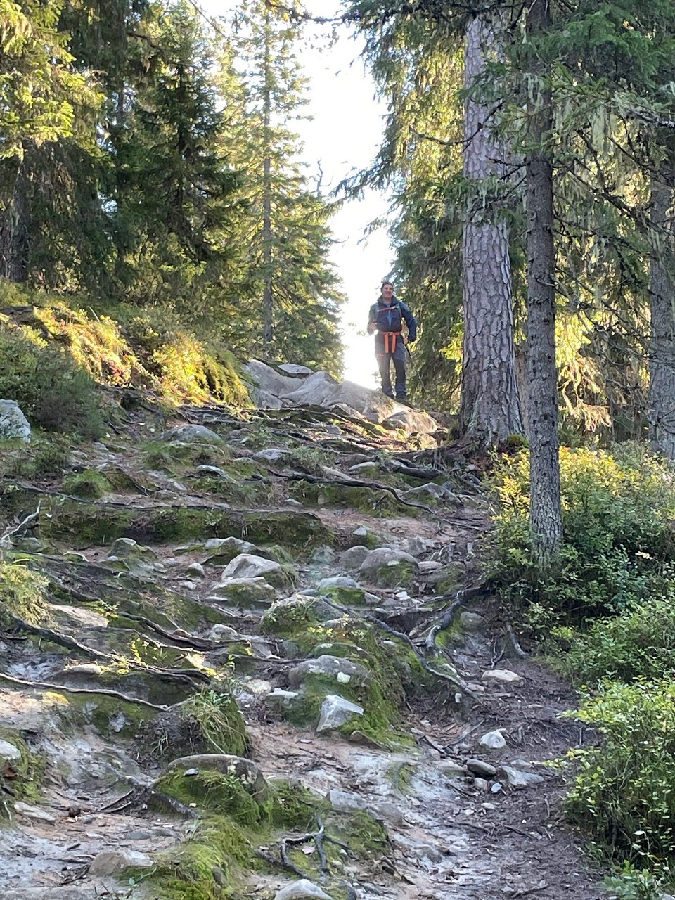 Finnland - Vuokatti - Rauf auf den Berg 