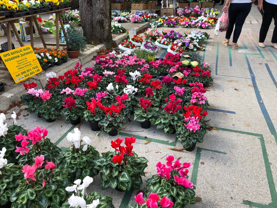 Kroatien - Pazin - Markt Pazin