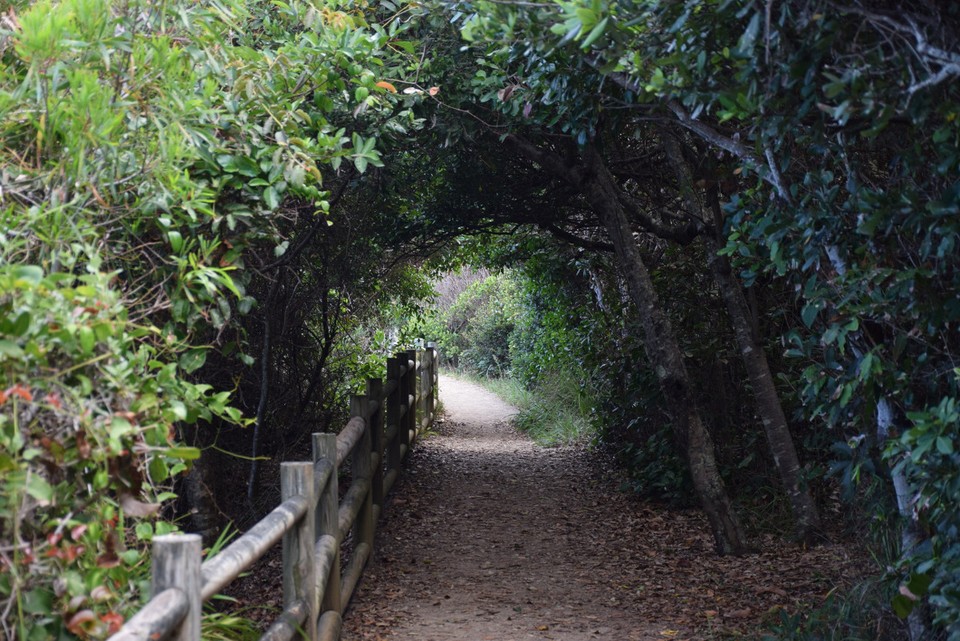 Australien - Port Macquarie - 