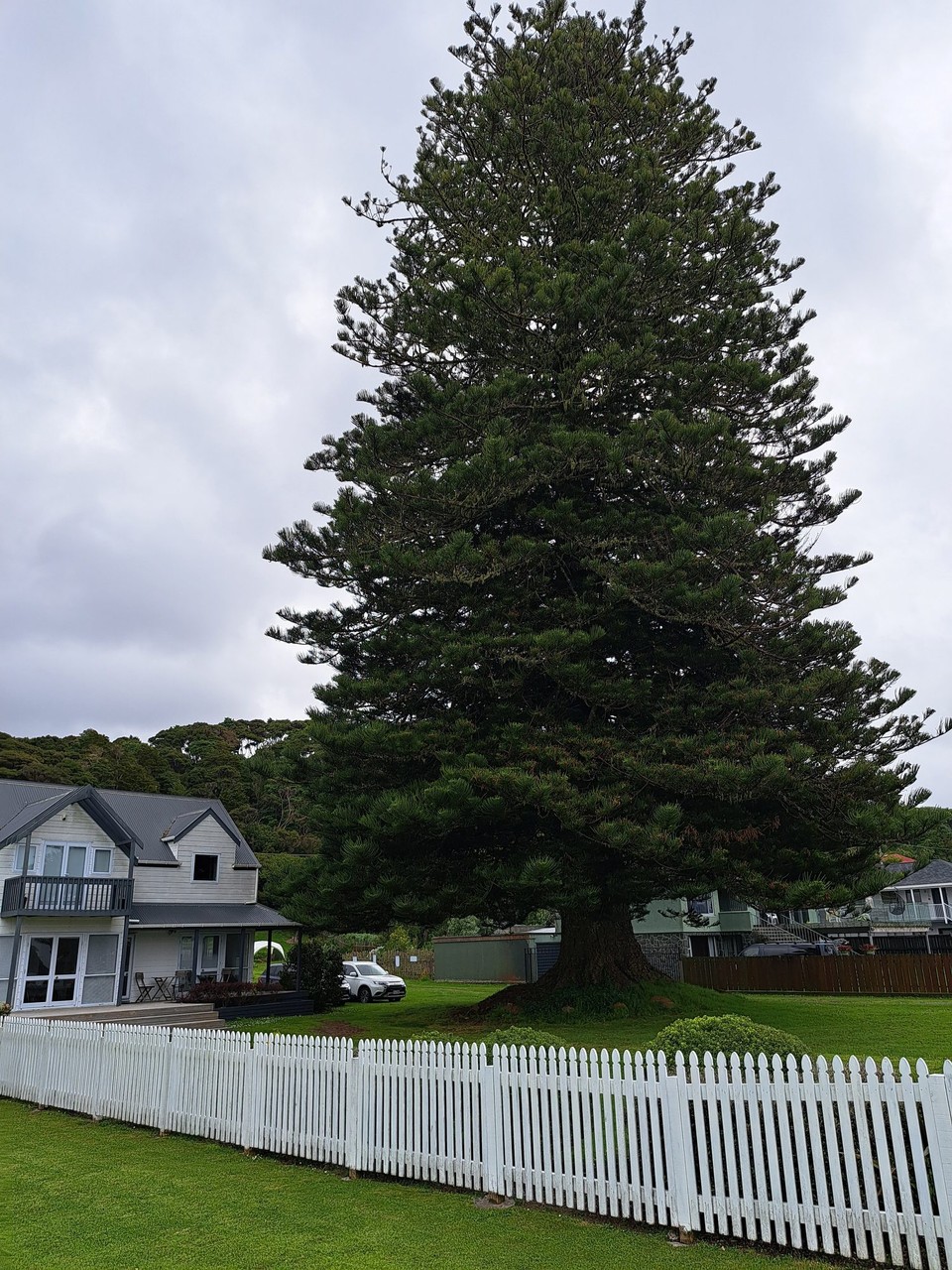 Neuseeland - Paihia - 