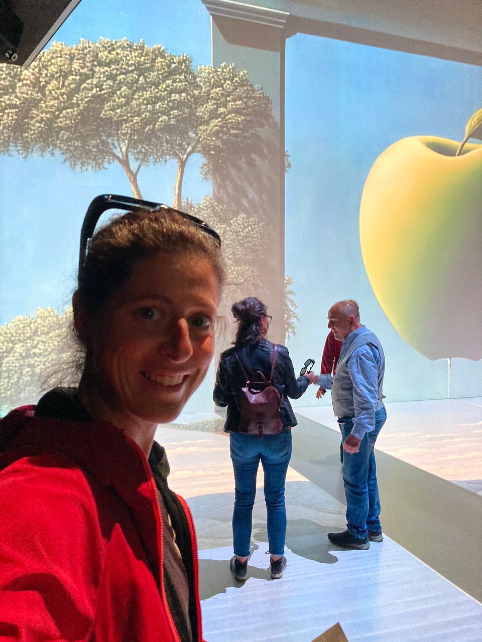 Österreich - Linz - Einen 8K Raum schau ich mir auch noch an