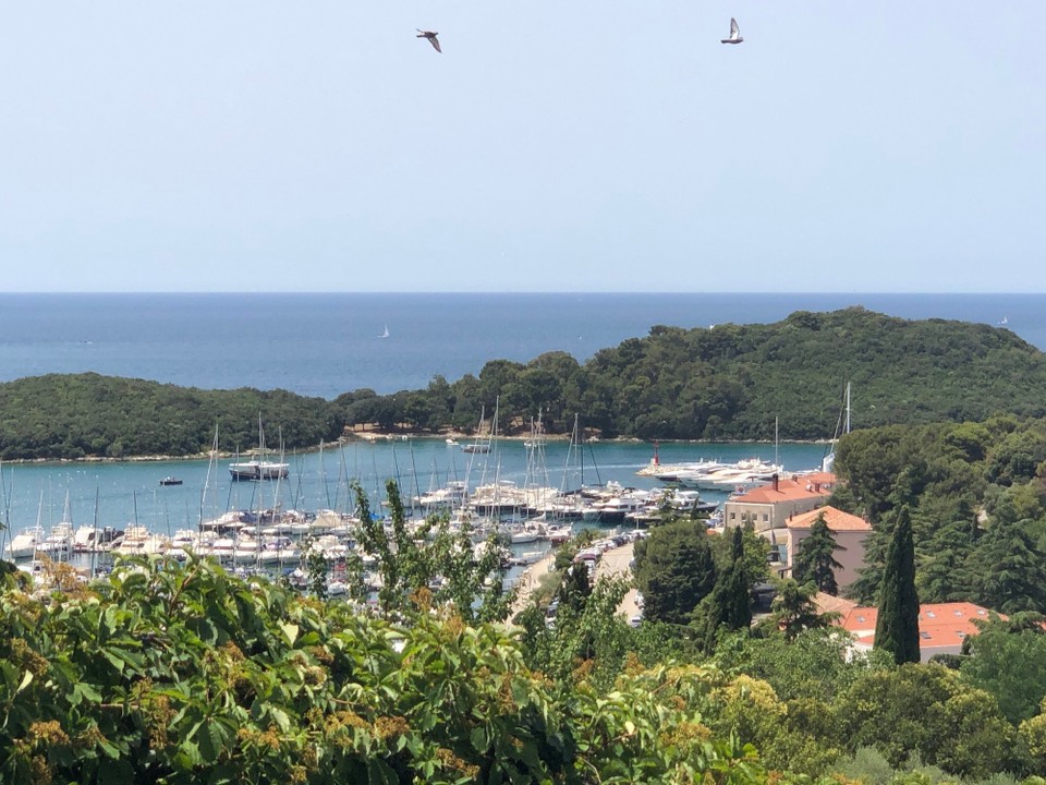 Kroatien - Vrsar - Blick auf Vrsar