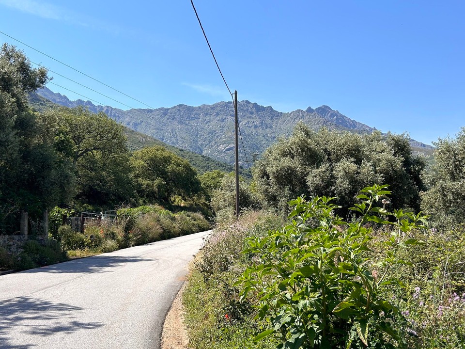 Frankreich - Bastia - 