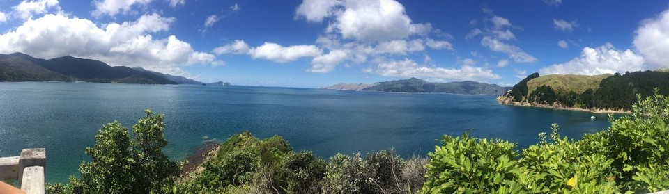 Neuseeland - French Pass - 