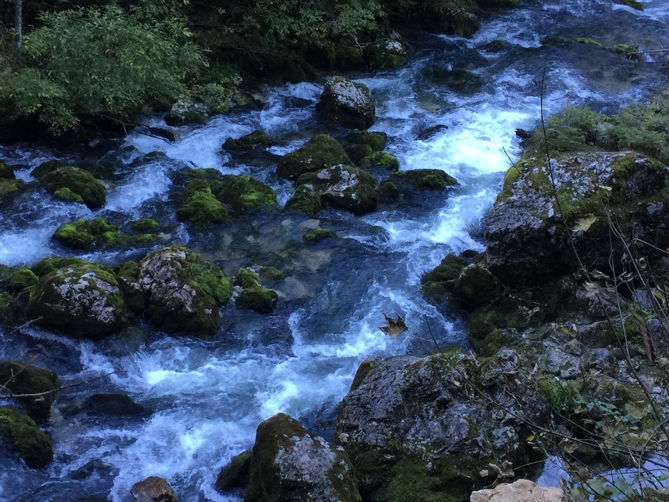 Österreich - Golling an der Salzach - Im Tal