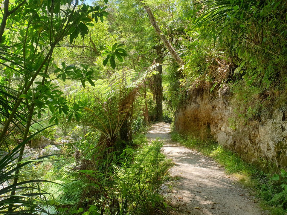 Neuseeland - Nelson - 