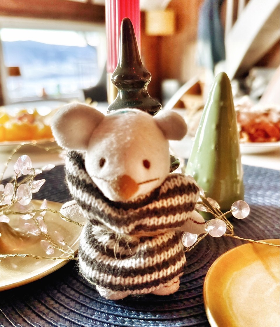 Norwegen - Lillehammer - Carlos trägt jetzt Pulli! 