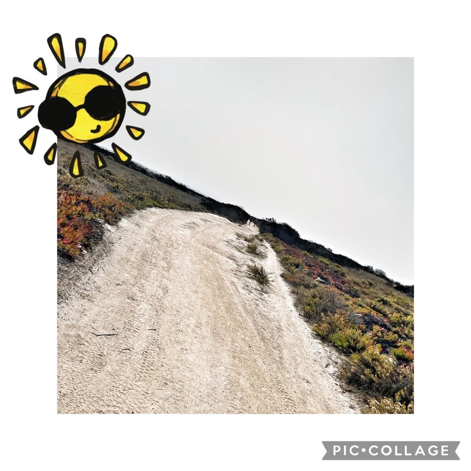 Portugal - São Teotónio - 