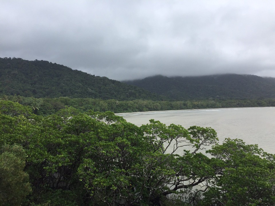 Australien - Cape Tribulation - 