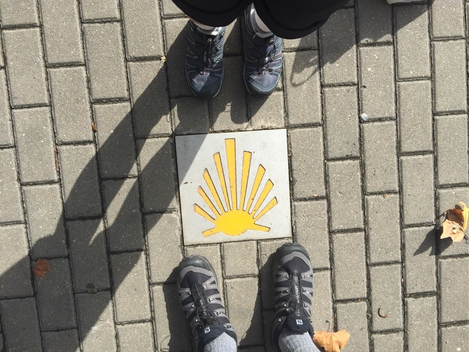 Spain - Logroño - A Camino shell showing the way. Logrono. 