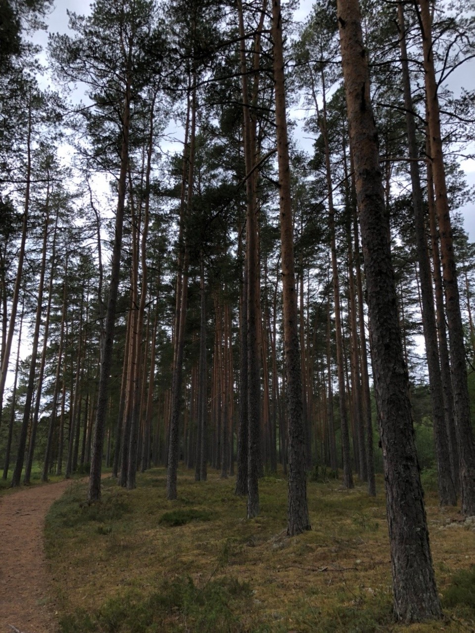 Estland - Vihula - 