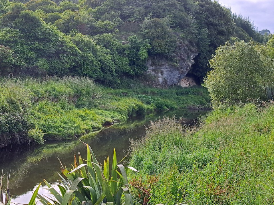 Neuseeland - Mangaokewa - 