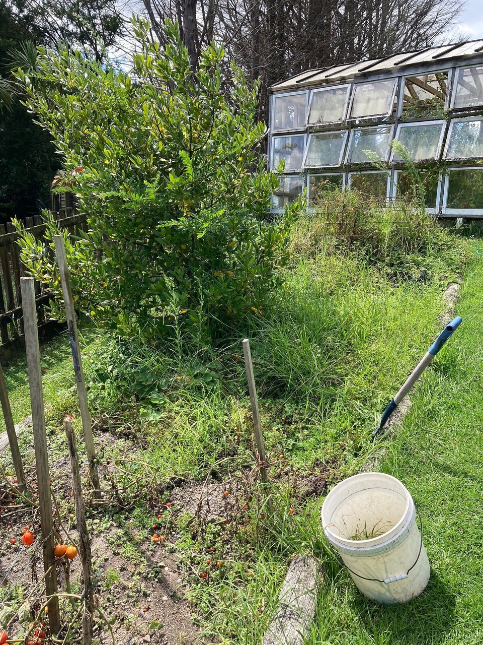 Neuseeland - Hikurangi - Gartenarbeit 🤓 Pünktlich zum Herbstanfang (01.03.)