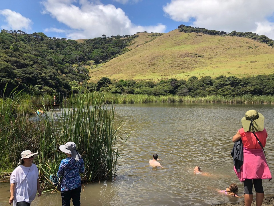 Neuseeland - Bethells Beach - See bei den Dünen 