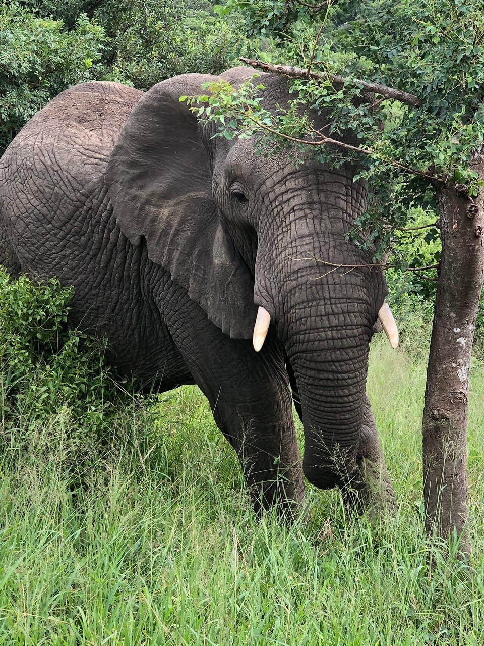 Südafrika - Durban - 