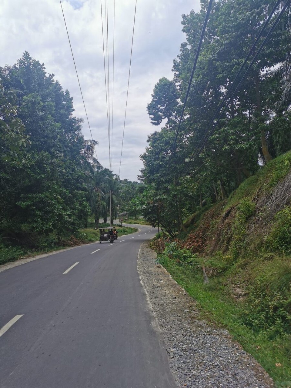 Indonesien - Kabupaten Langkat - 