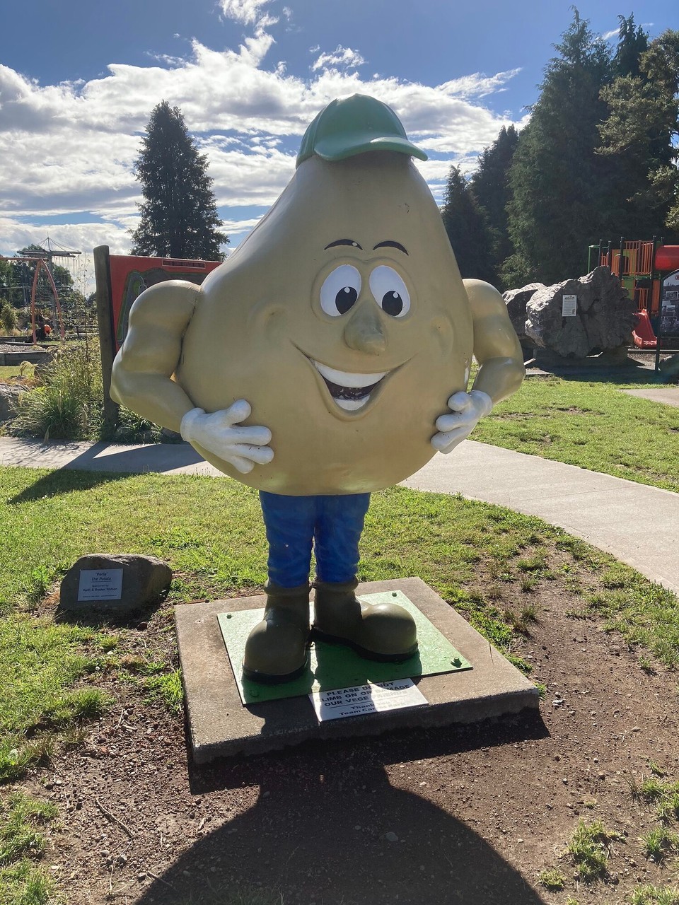 Neuseeland - Ohakune - Kartoffel „Perla“