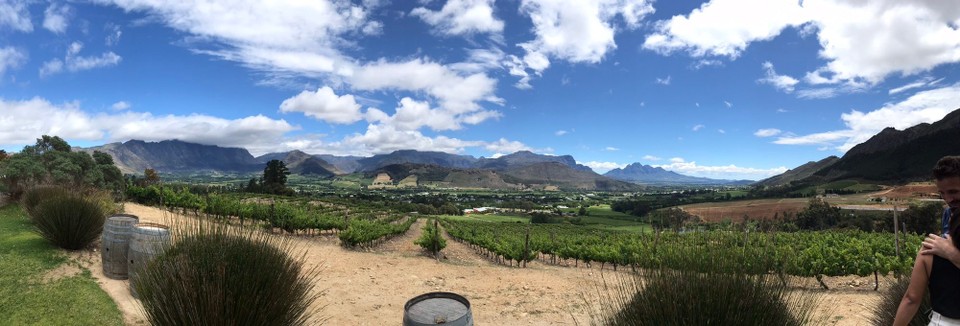 Südafrika - Franschhoek - 