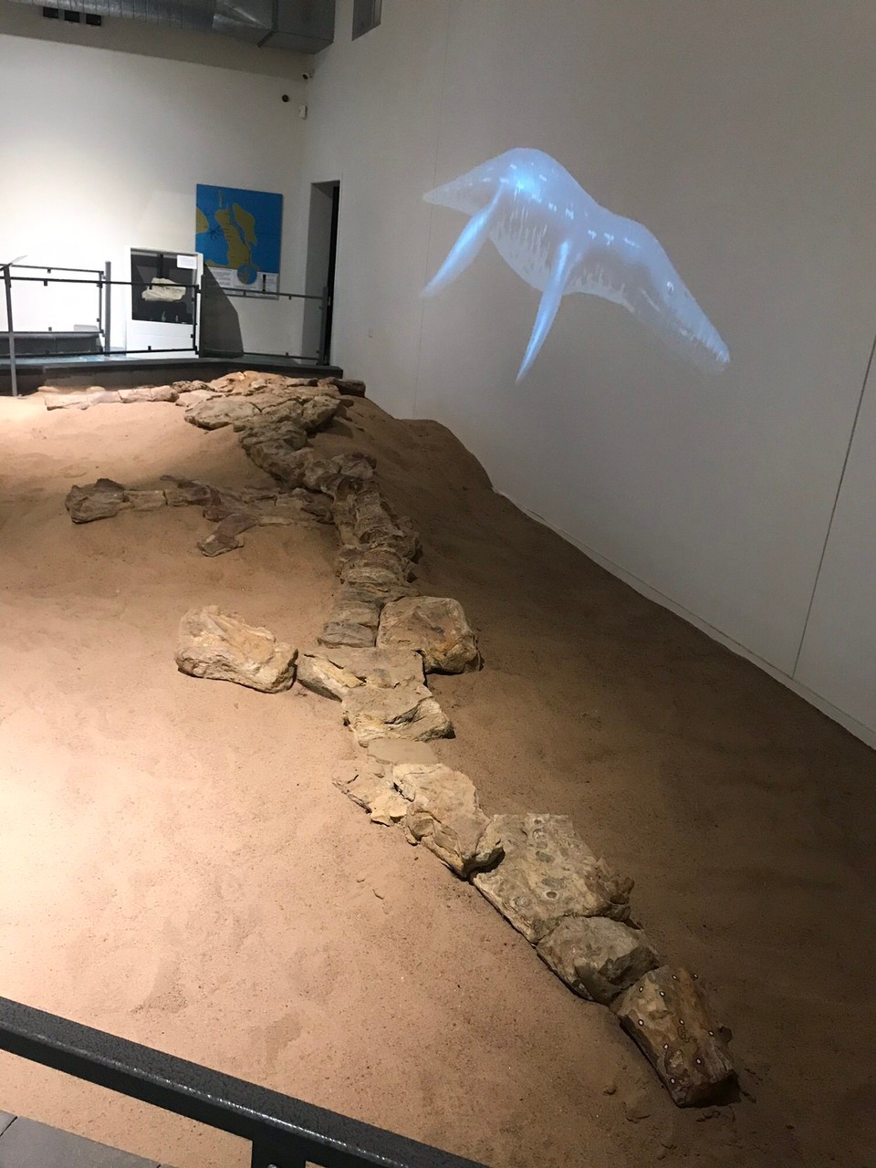 Australia - Richmond - Kronosaurus eats Tyrannosaurus rex for lunch !