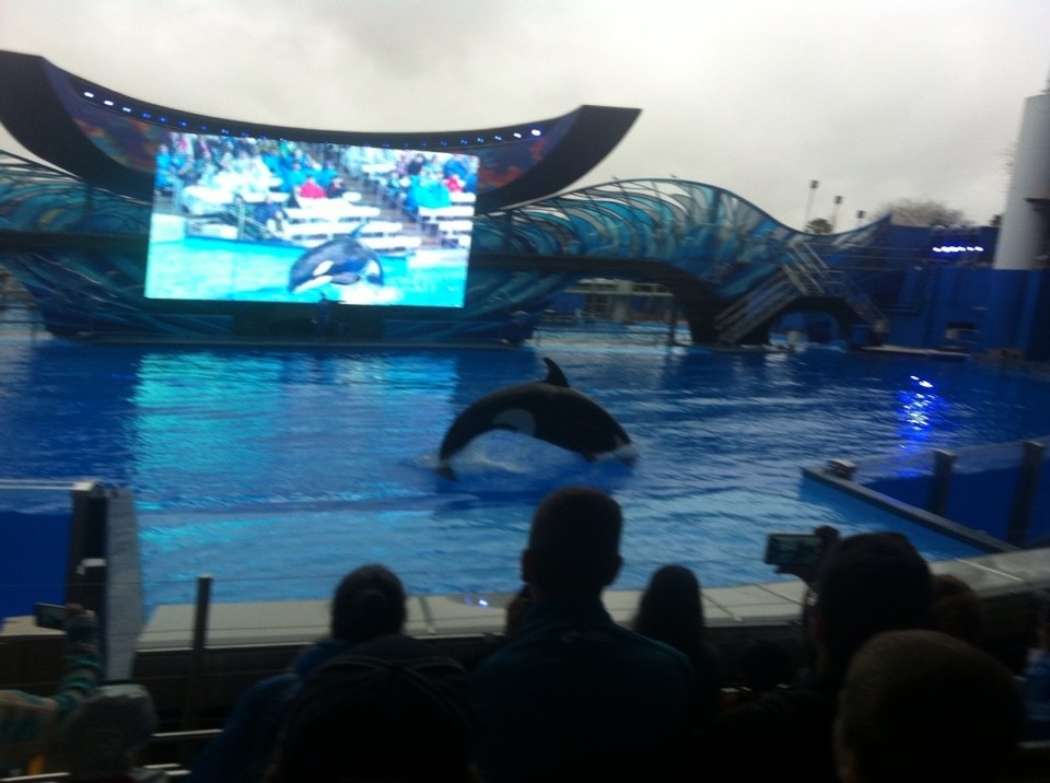 Egyesült Államok - Orlando - 