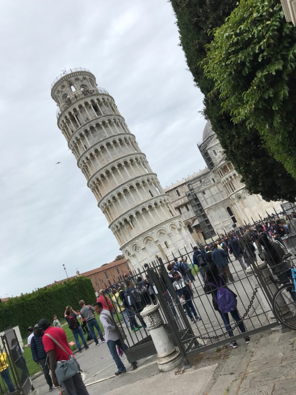 Italien - Pisa - …der ist so richtig schief