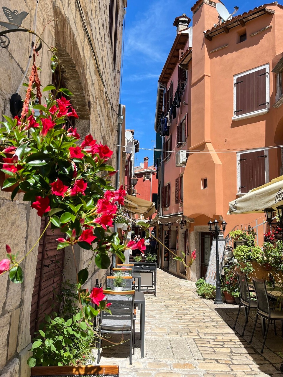 Kroatien - Rovinj - 