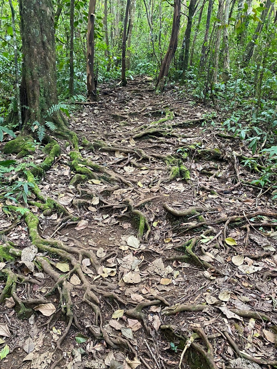 Réunion - Cilaos - 