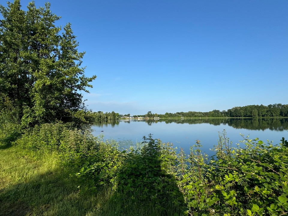 Deutschland - Friesenheim - 