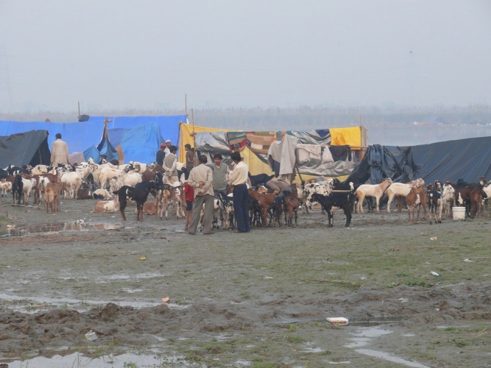 India - New Delhi - 