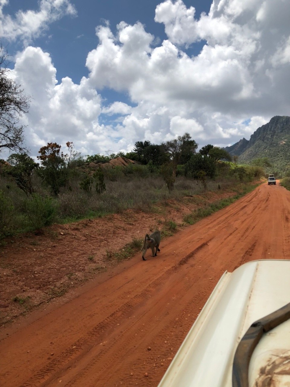 Kenia - Taita - 