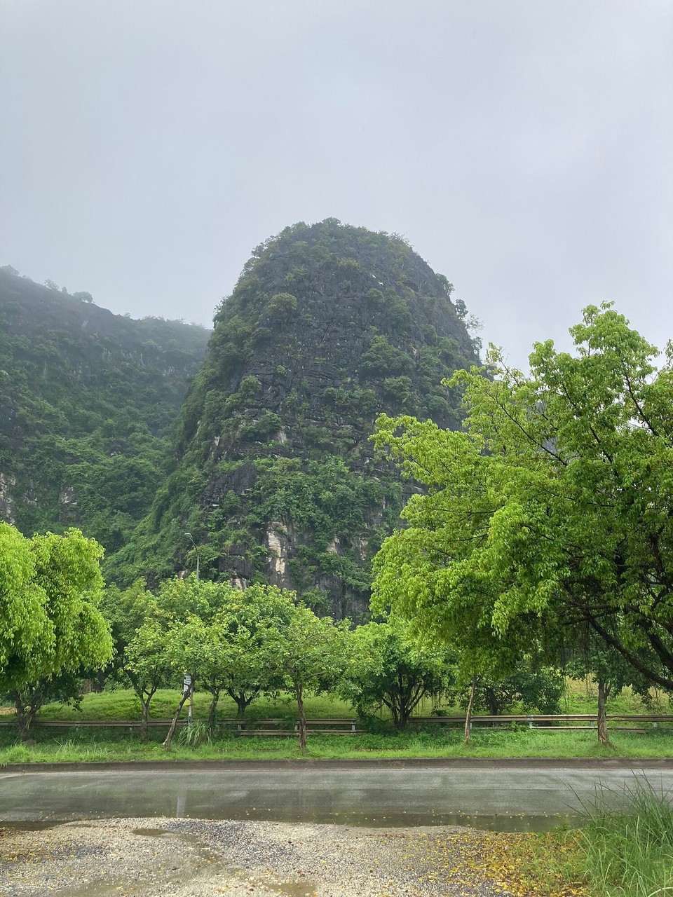 Vietnam - Hoa Lu - Ganz genau hinschauen, zwei weiße Punkte oben am Hang sind Ziegen 🤪