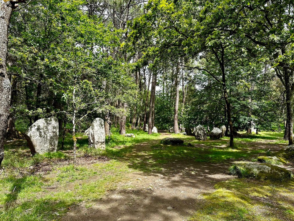 Frankreich - Carnac - 